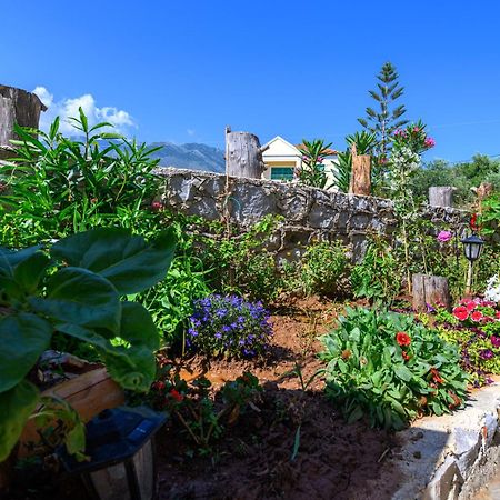 Апартаменты Σελήνη Kotronion  Экстерьер фото